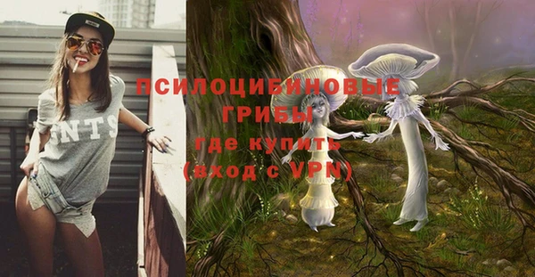 МДПВ Володарск