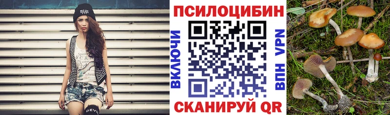 Галлюциногенные грибы Cubensis  Купить где  Боготол 
